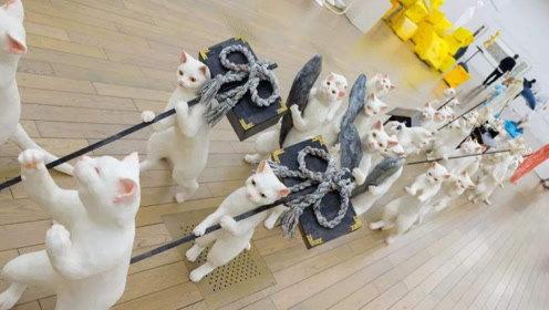 娱乐吃瓜君财神,揭秘娱乐圈背后的财富秘密